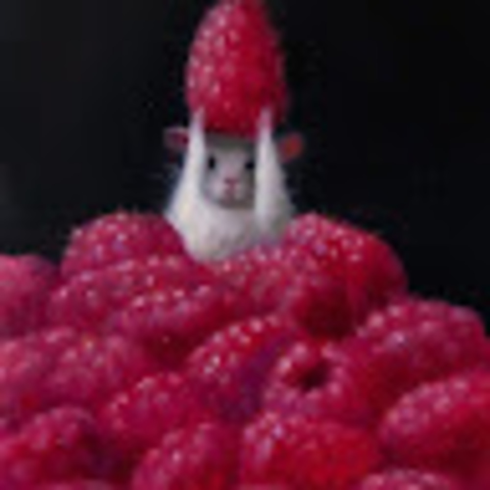 Meet your Posher, Tv